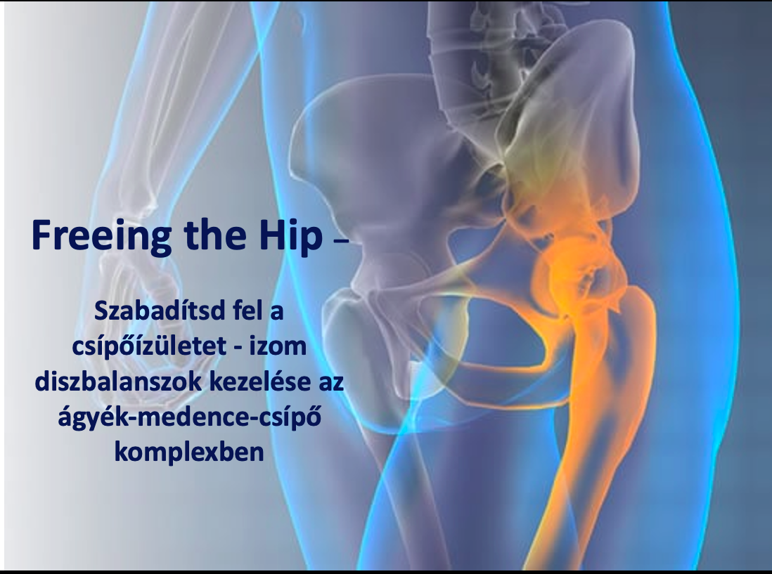 Freeing the Hip